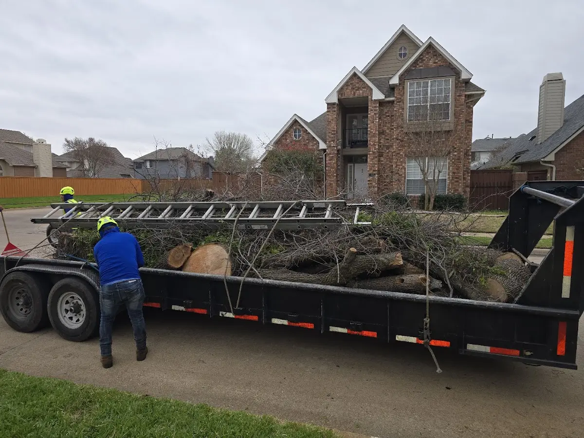 Expert Tree Fertilization with proper safety equipment in Tonopah
